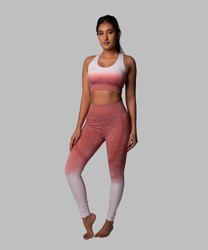 Seamless Harmony Yoga Set